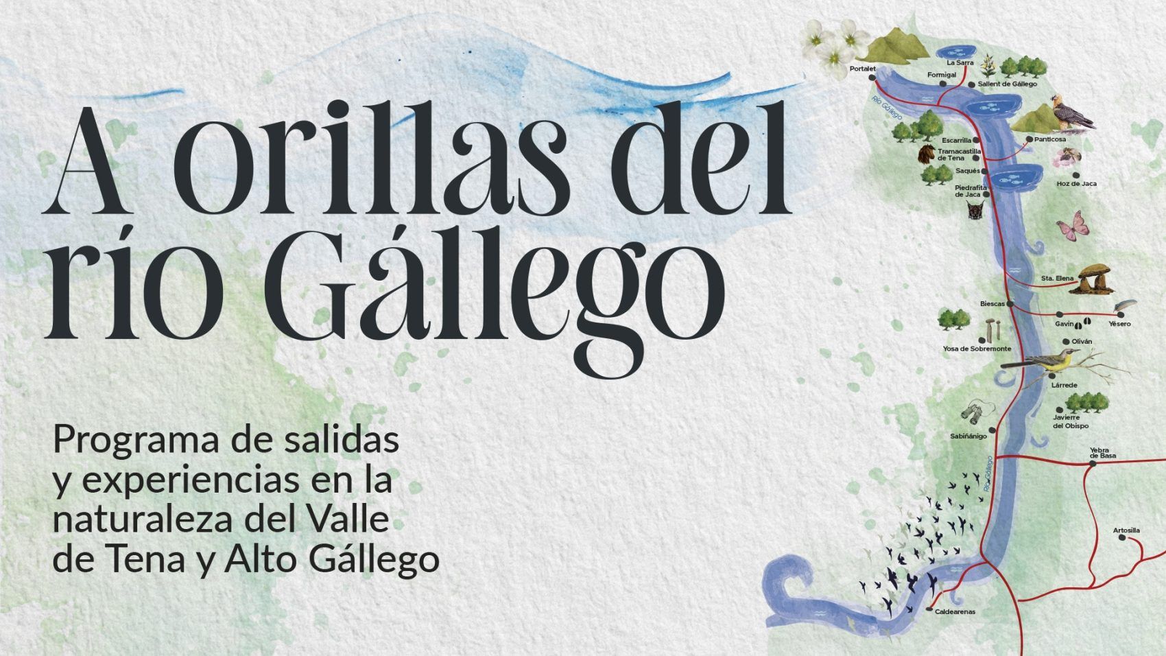 noticia.jpg