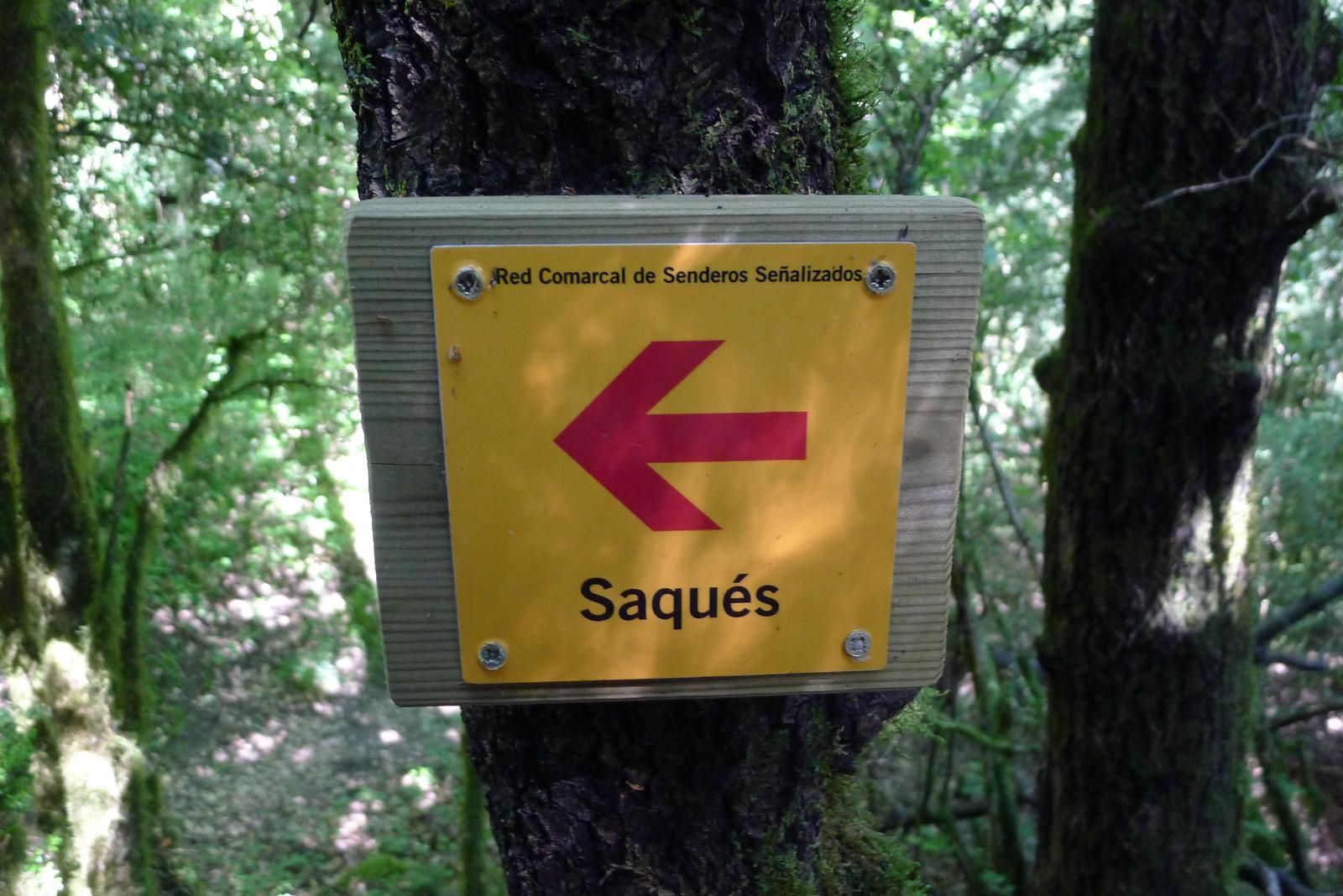 saques.jpg