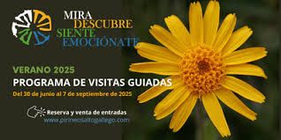 visitas.jpg